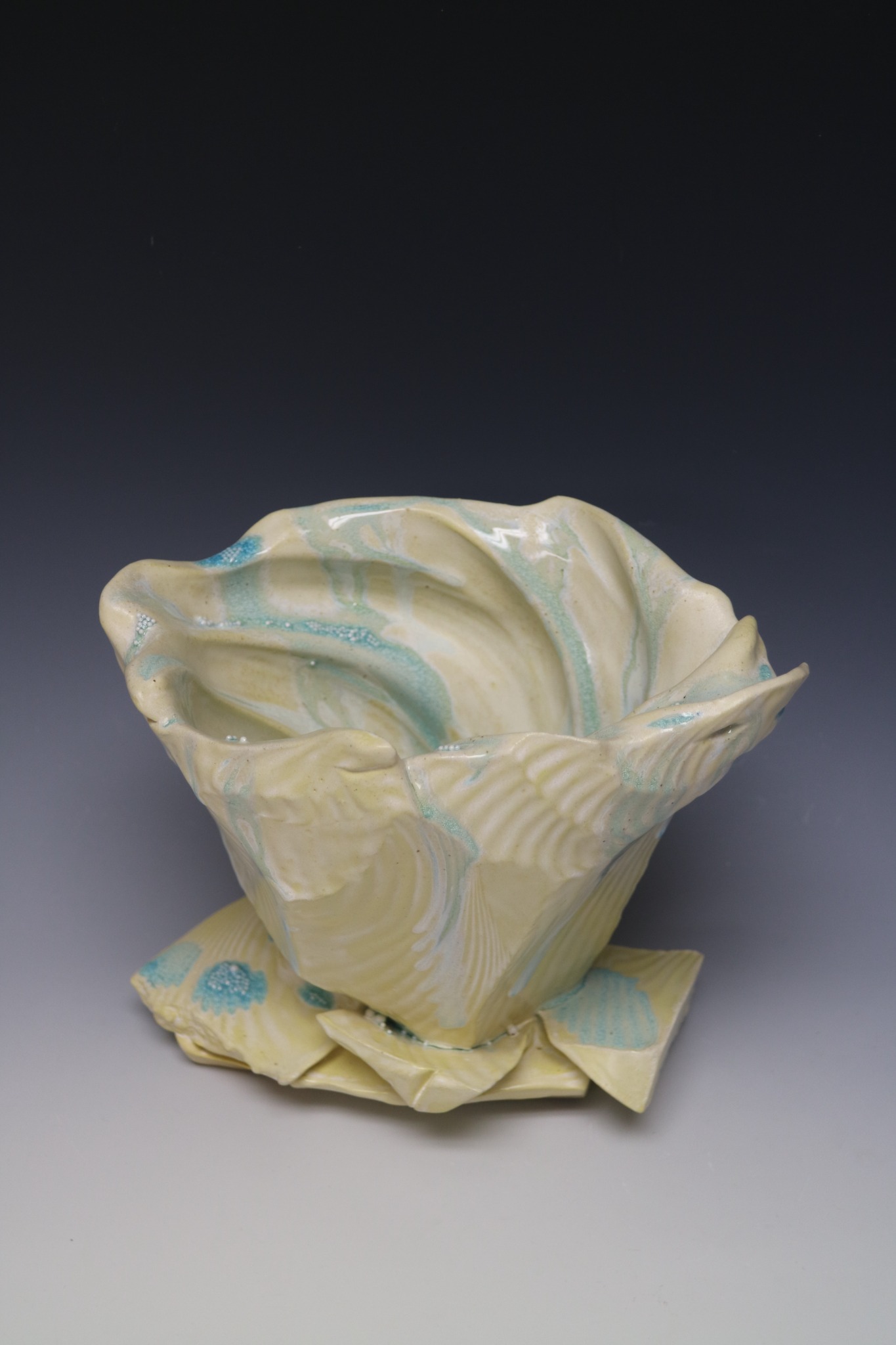 Invaginated Glass Bowl Formation