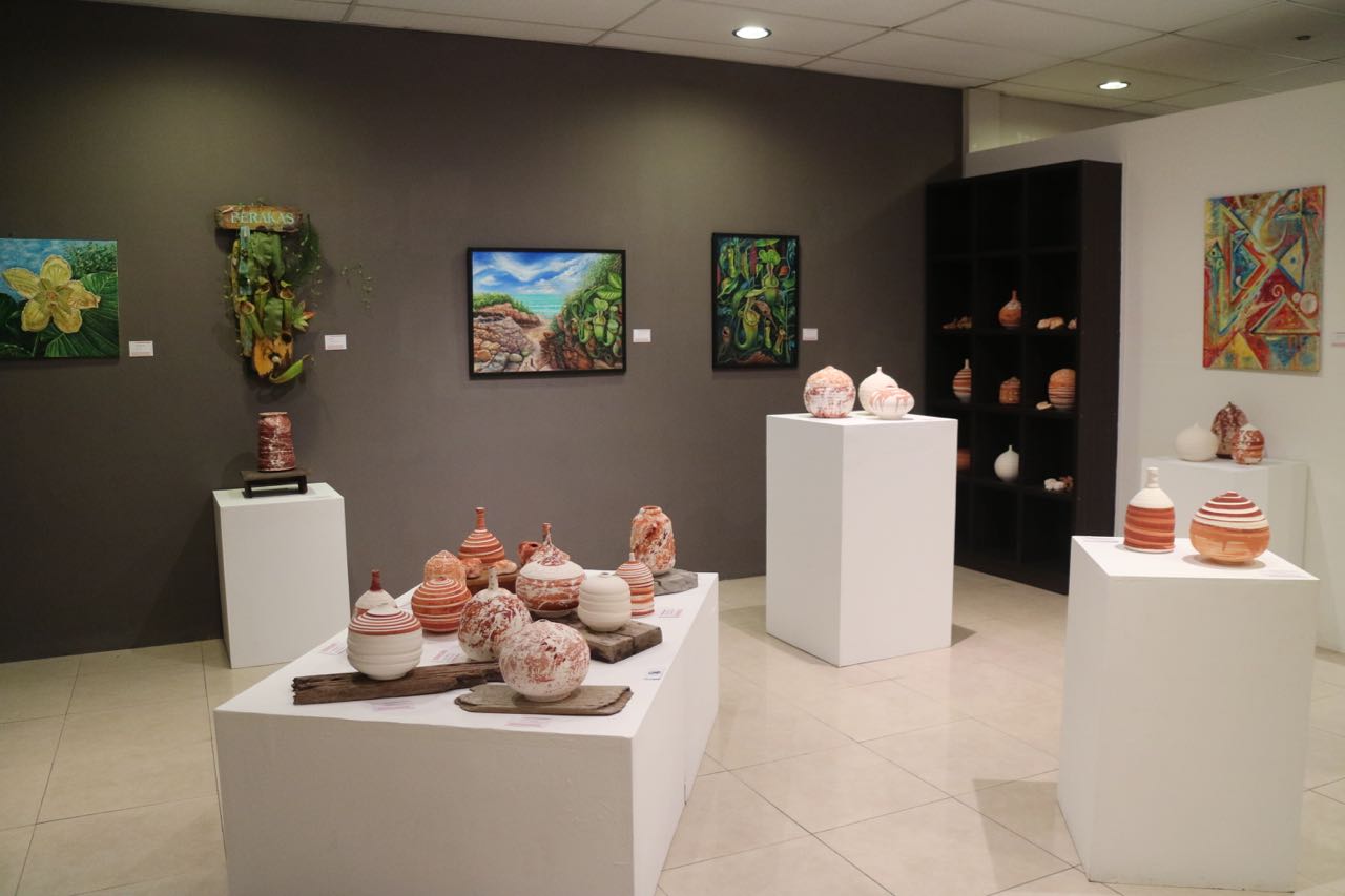 Earth Trek Borneo installation view.